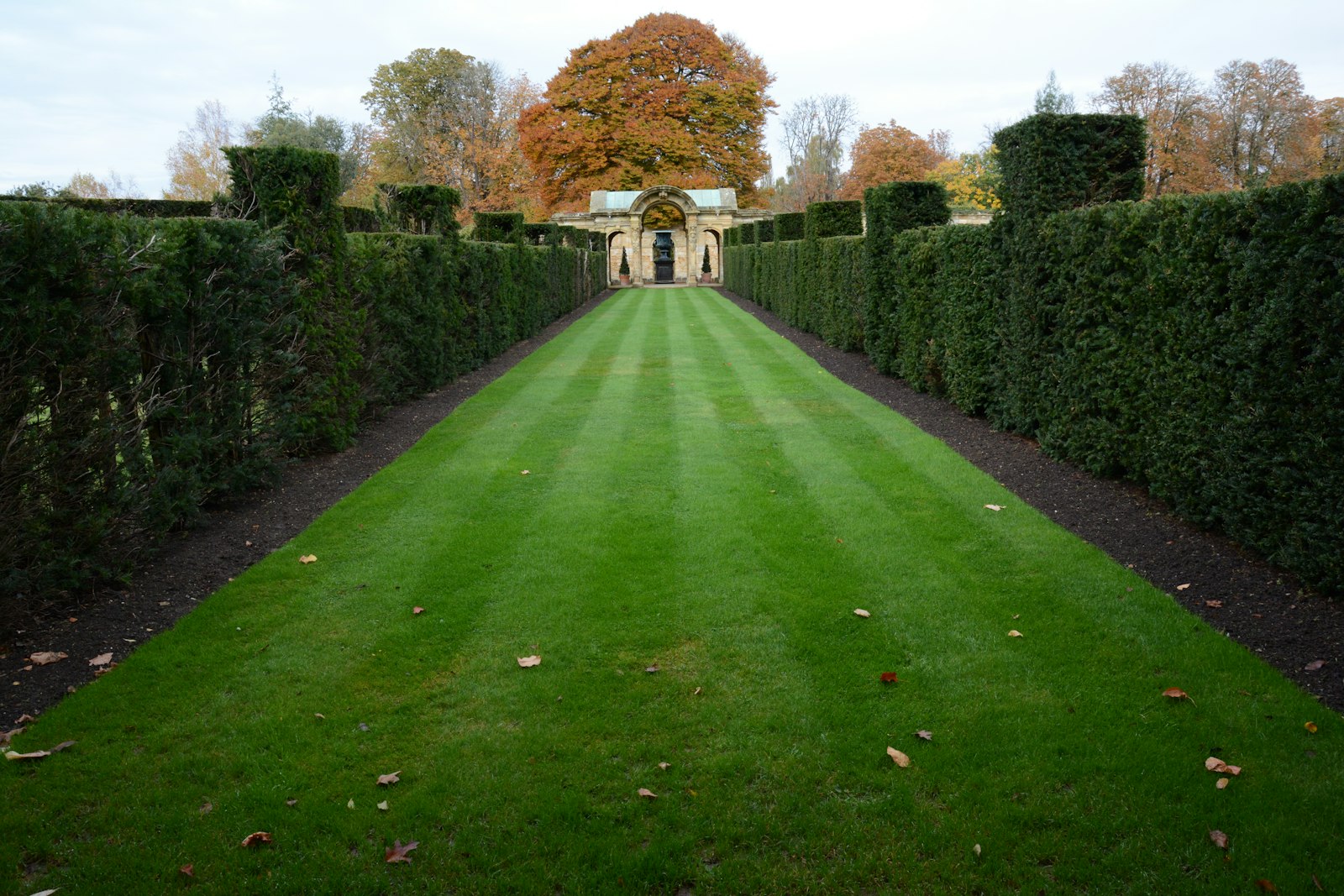 Long green lawn flanked by trimmed hedges in front of a residential home.